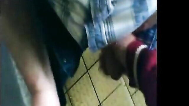 German amateur restroom handjob with mature woman in skirt