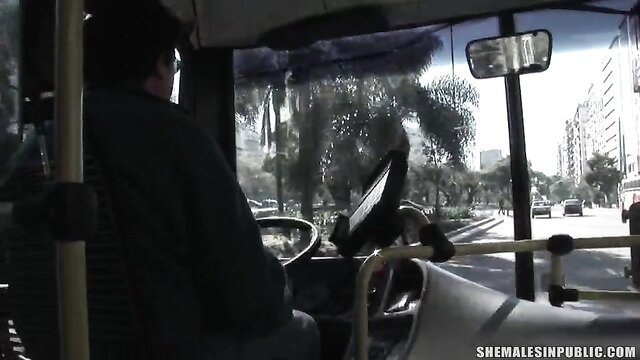 Tranny bus driver in public oral sex tease, sensual shemale thumbnail