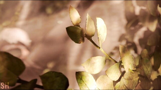 2B and 9S Nier Automata cosplay tease with glowing leaves