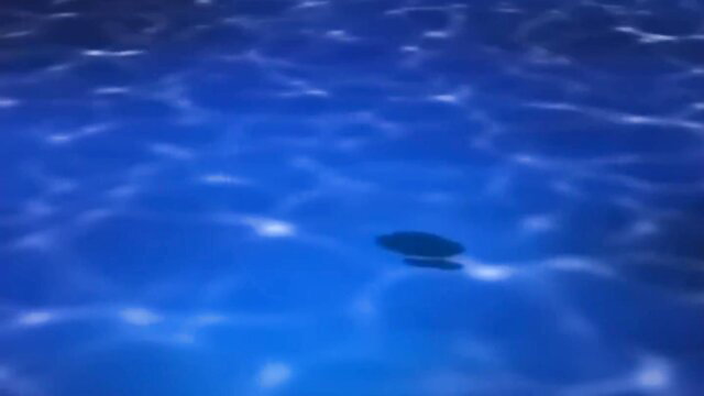 Blue pool water with dark shadowy figure submerged, erotic underwater tease