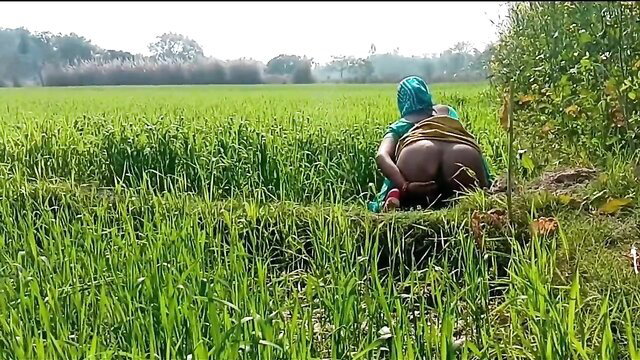 Desi bhabhi Radhika bent over nude in rice field outdoor sex