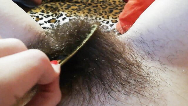 Closeup of hairy bush brushed, huge clit tease in erotic compilation