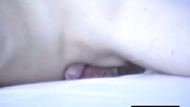 Person under white sheets masturbating