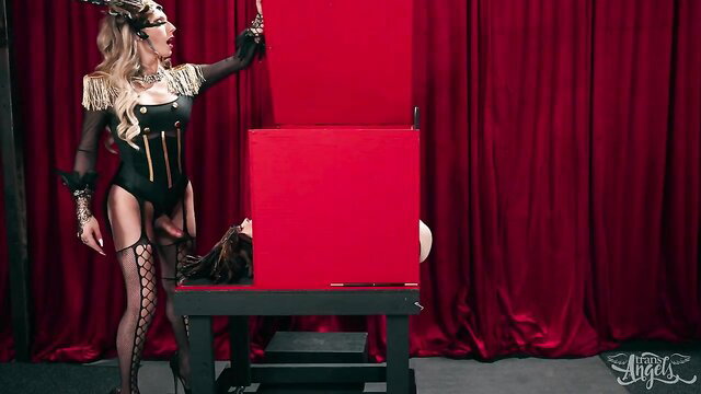 Blonde t-girl dominatrix in lingerie with bound sub in magic box anal scene