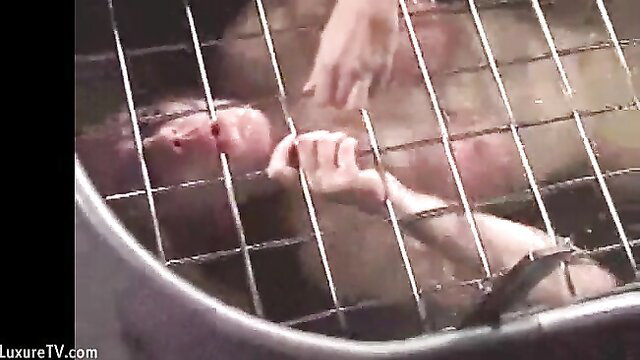Woman trapped in metal cage submerged in water during extreme BDSM