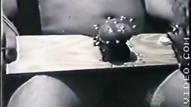 Man's swollen blue balls tortured with spiked device in BDSM play