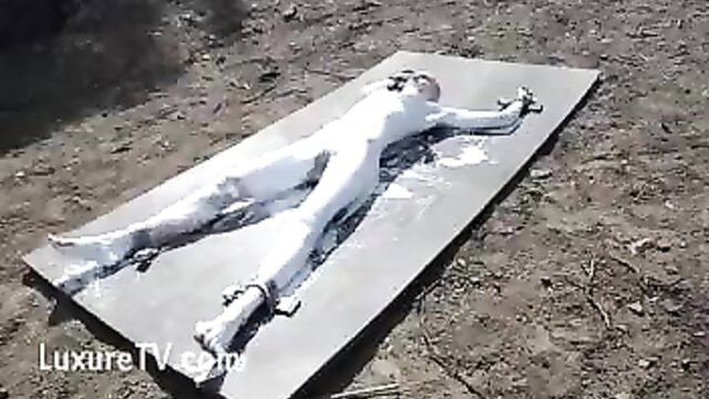 Greyhound covered in white paint, bound spread-eagle on board