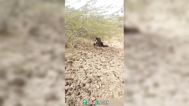 Cheating Desi Bhabhi outdoor caught humiliated leaked MMS