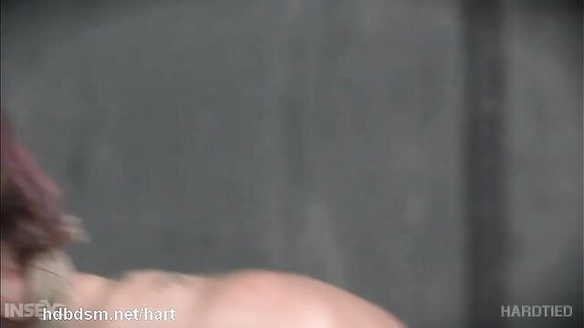 Busty brunette bound and suffering from master's wicked toying