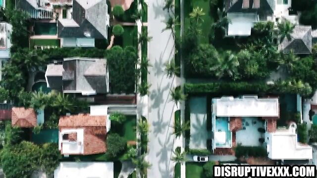 Aerial view of lush Florida neighborhood with palms and pools
