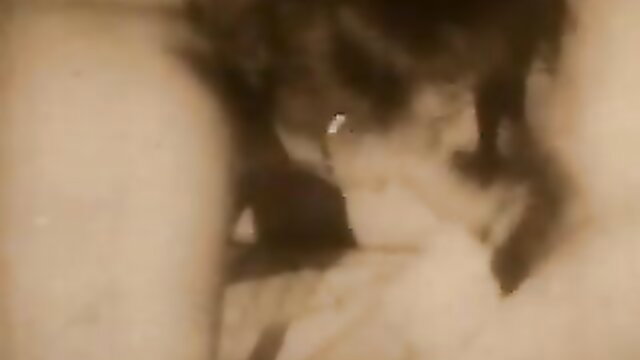 Vintage Sleeping Beauty stag film: woman sucks cock closeup