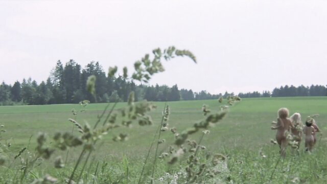 Six nude Swedish girls running playfully in green field
