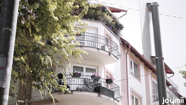 Simon Kitty on sunny balcony with plants and railing