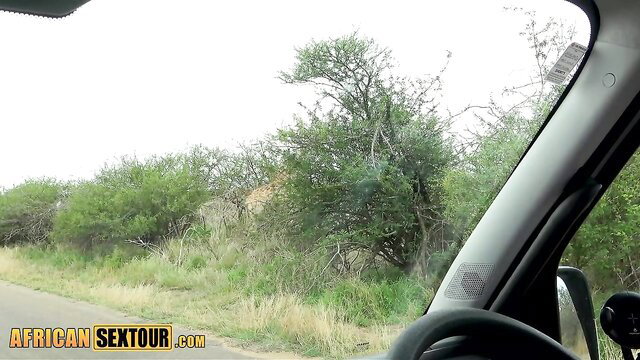 African teen safari drive spotting leopard bush POV car view