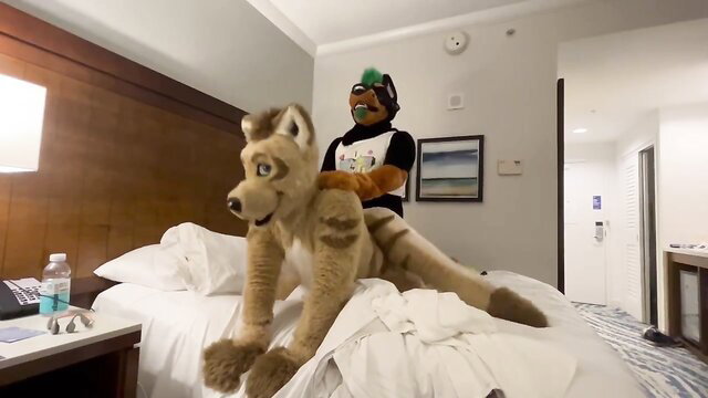 Dobermann fursuit breeding Thylacine furry on bed in hotel room