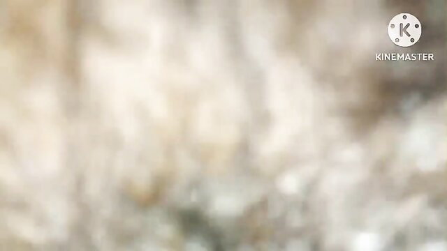 Blurred Indian Desi Bhabhi tight pussy closeup