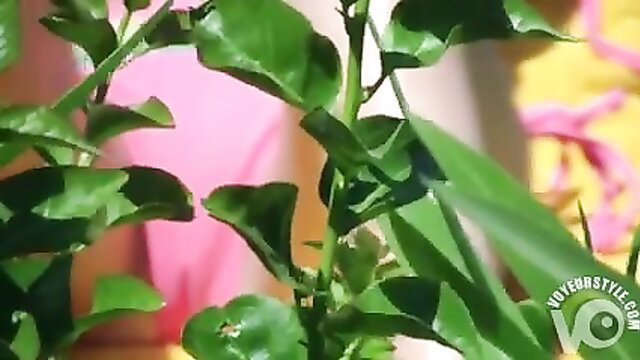 Bikini girl cameltoe closeup in beach voyeur video