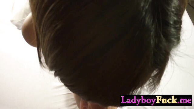 Big tits tranny POV head turn rough ass fuck