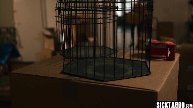 Haunted house naughty couple birdcage tease thumbnail