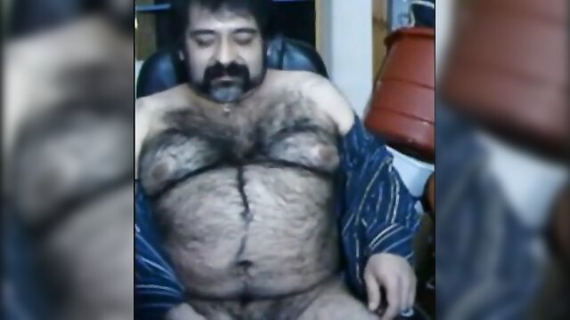 Hairy bear daddy sitting shirtless with thick chest fur exposed