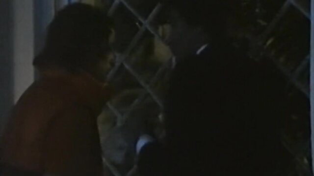 Two people kissing near a fence at night