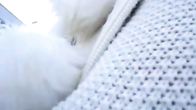 Sexy girl flashing pussy and ass in public parking lot