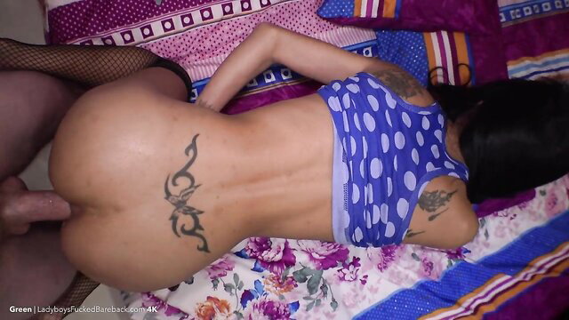 Green Thai ladyboy in fishnets shows tattooed ass with dick tease