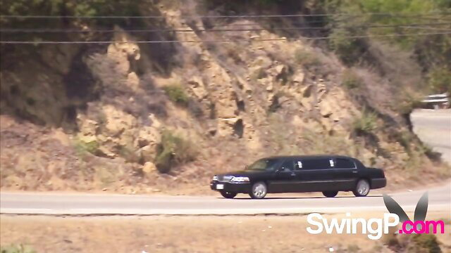 Black limo cruising sunny canyon road, swinger vibe