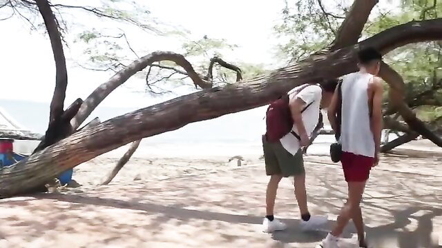 Two athletic Asian guys in shorts under beach tree, hot outdoor tease