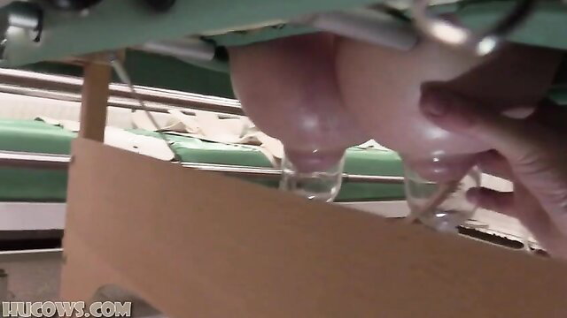 Jasmine Jae hucow milked on table with suction cups on huge tits