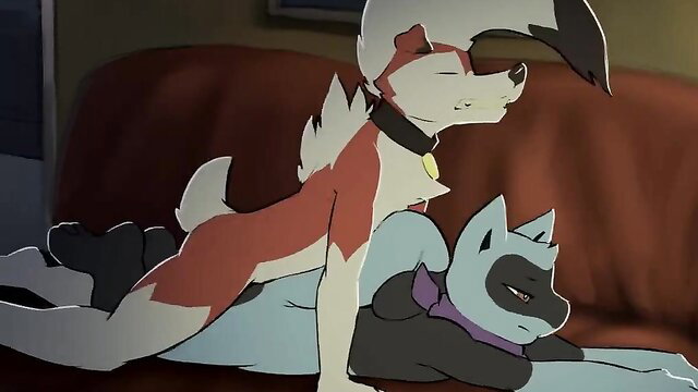 Anthro fox and cat furs furry yiff sex on couch