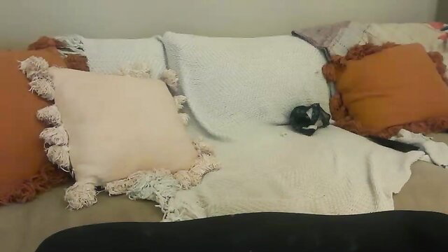 Lilbi85 chillin on bed with pillows, cozy Chaturbate tease