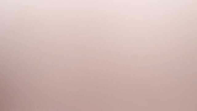 Brandi Love busty blonde MILF in sexy pink lingerie