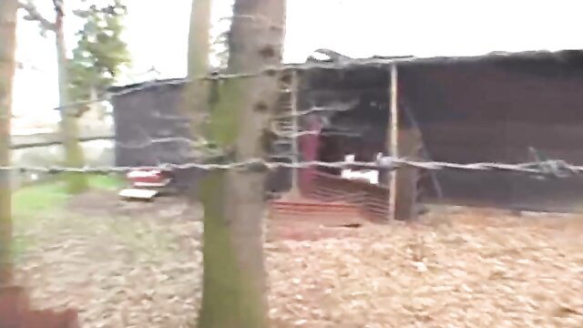 Hot amateur girl outdoor sex at park near rundown shack