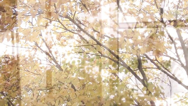 Busty Asian wife with big boobs riding cock in cowgirl position