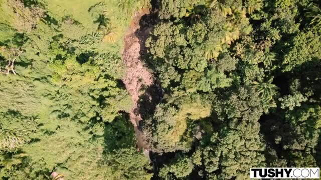 Kaisa in lush jungle with massive knockers, aerial view