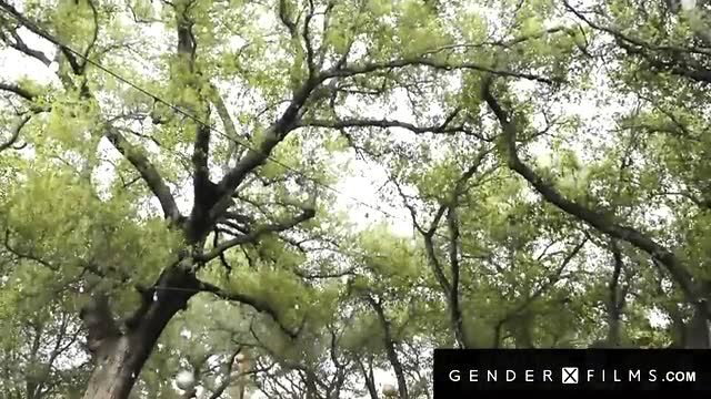 Lush green trees in sunny outdoor scene from Trans Hotties Smash Soldier