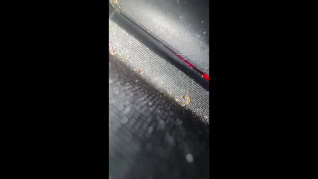 Alice closeup deepthroating daddy's thick cock, baddie beauty