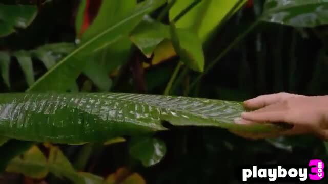 Katya Clover hand on wet jungle leaf in sexy Playboy striptease