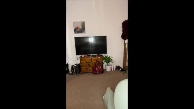 Cozy living room setup with TV, wooden dresser, red purse, plants