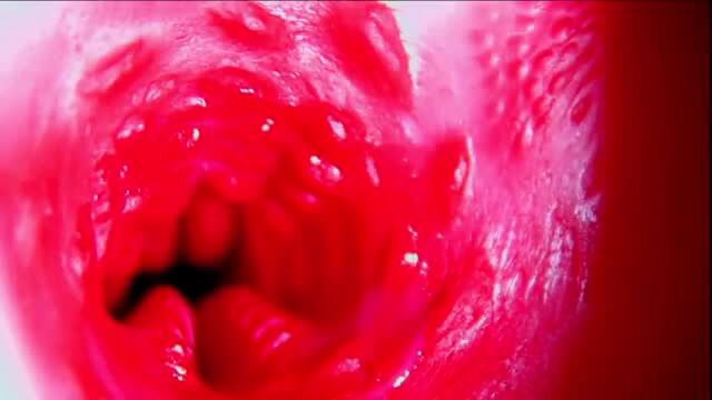 Closeup of moist pink vagina, wet labia and inviting gap