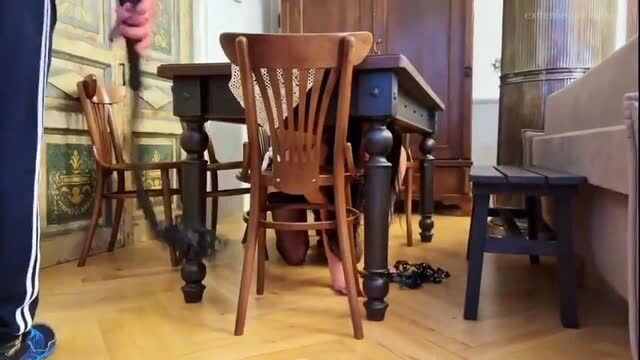Veronica bound under table in sinister bondage experiment