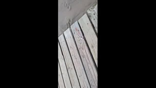 Dirty sandy feet walking beach planks, shown on street closeup