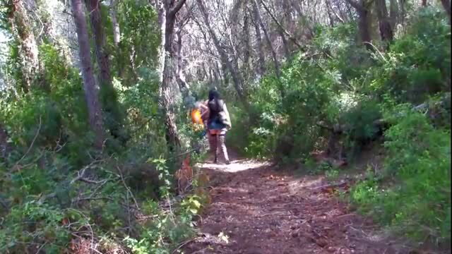 Hikers having outdoor sex in forest threesome