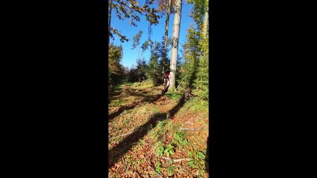 Outdoor naked woman leaning on tree in forest during unicorn hunt