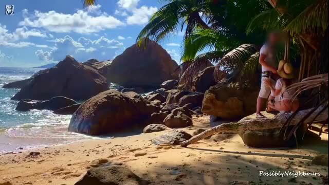 Couple having sex on tropical beach rocks