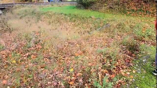 Naked outdoor scene with autumn leaves near railway line