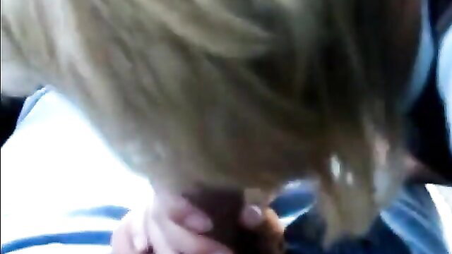 Blonde Luda gives blowjob in car, gripping cock closeup