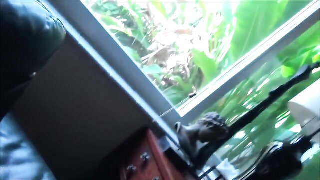 Kandie Monae ebony teen in steamy room with plants, big natural tits tease