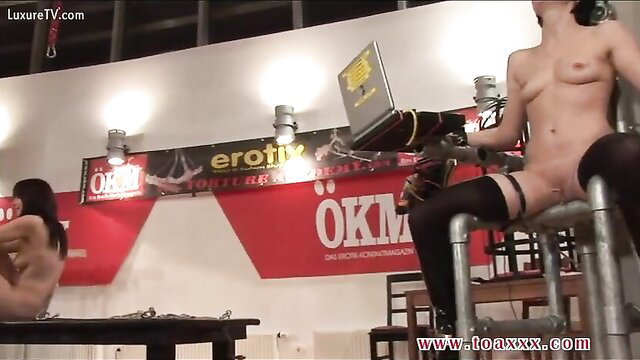 Nude Asian babe bound on torture chair at erotic expo, stockings